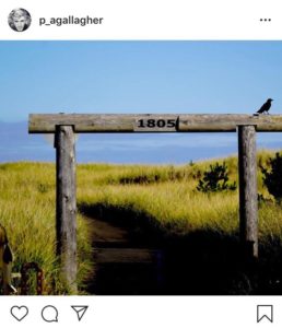 liam gallagher, paul gallagher, nuovo album