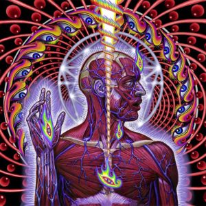 lateralus tool