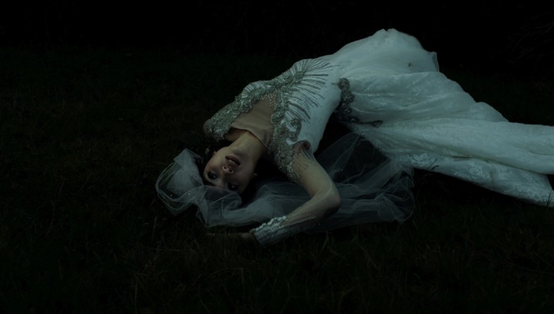fotografie di harley weir