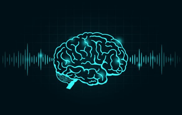 Intelligenza Musicale Gardner
