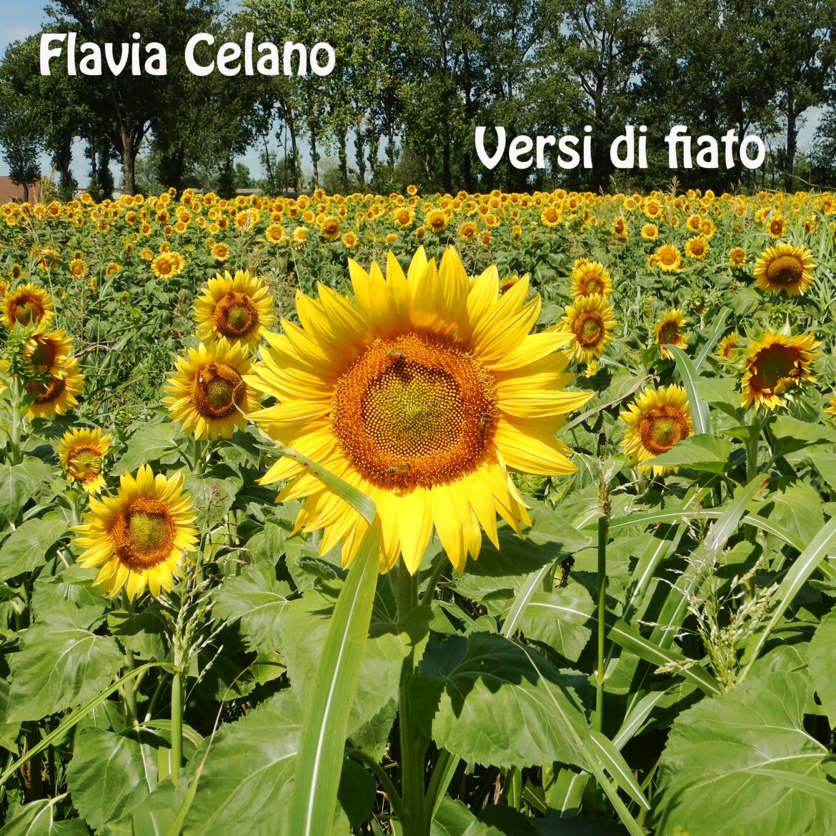 Versi di fiato