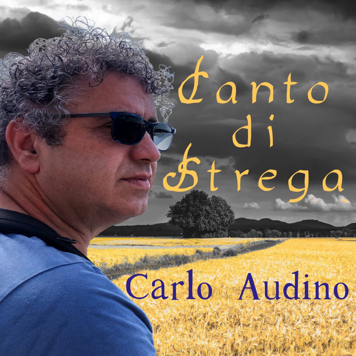 Carlo Audino