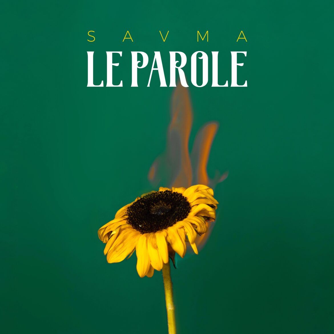 SAVMA