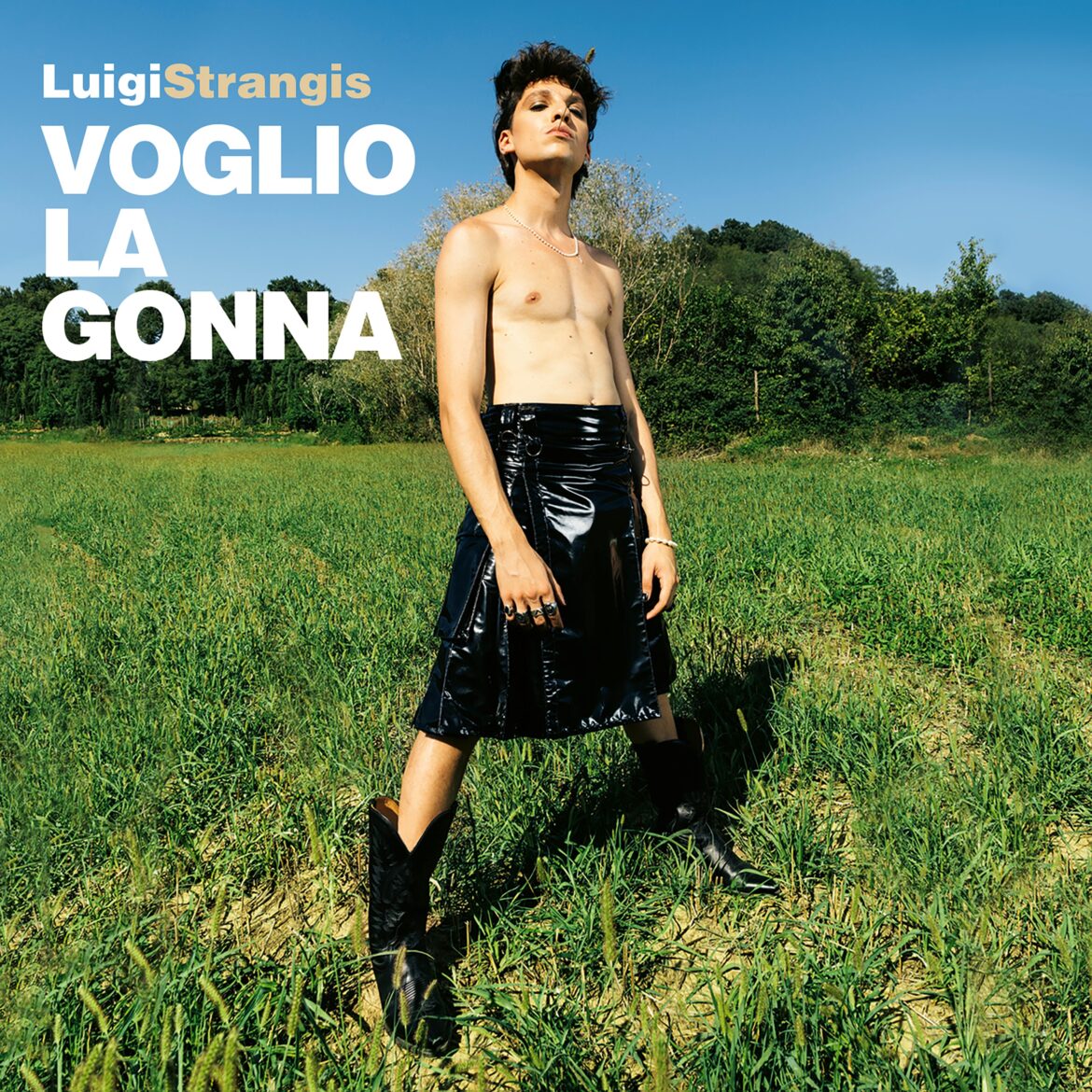 LUIGI STRANGIS VOGLIO LA GONNA cover