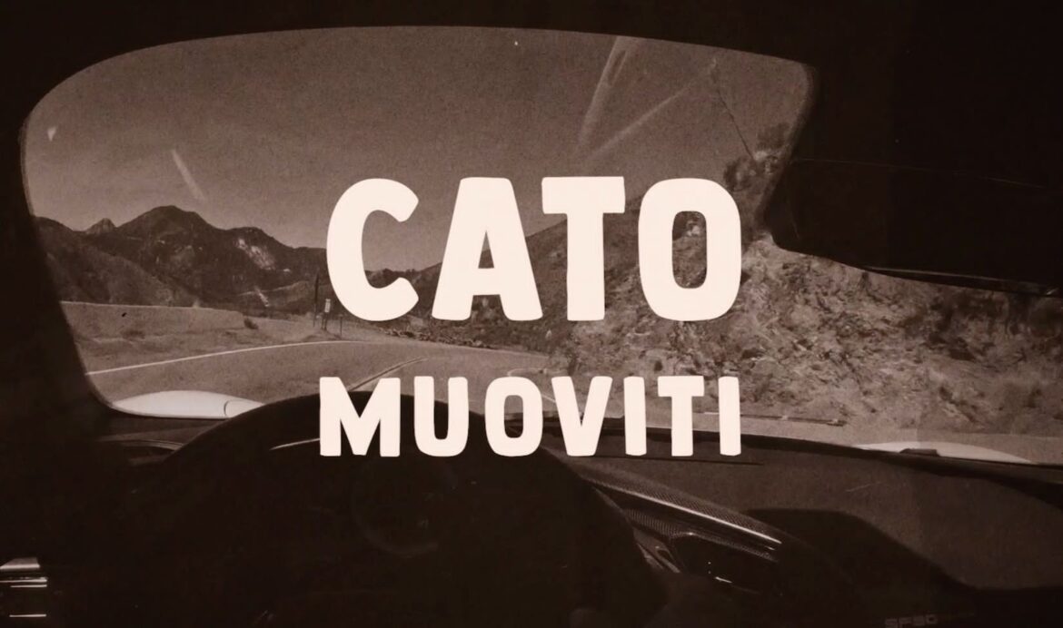 muoviti copertina