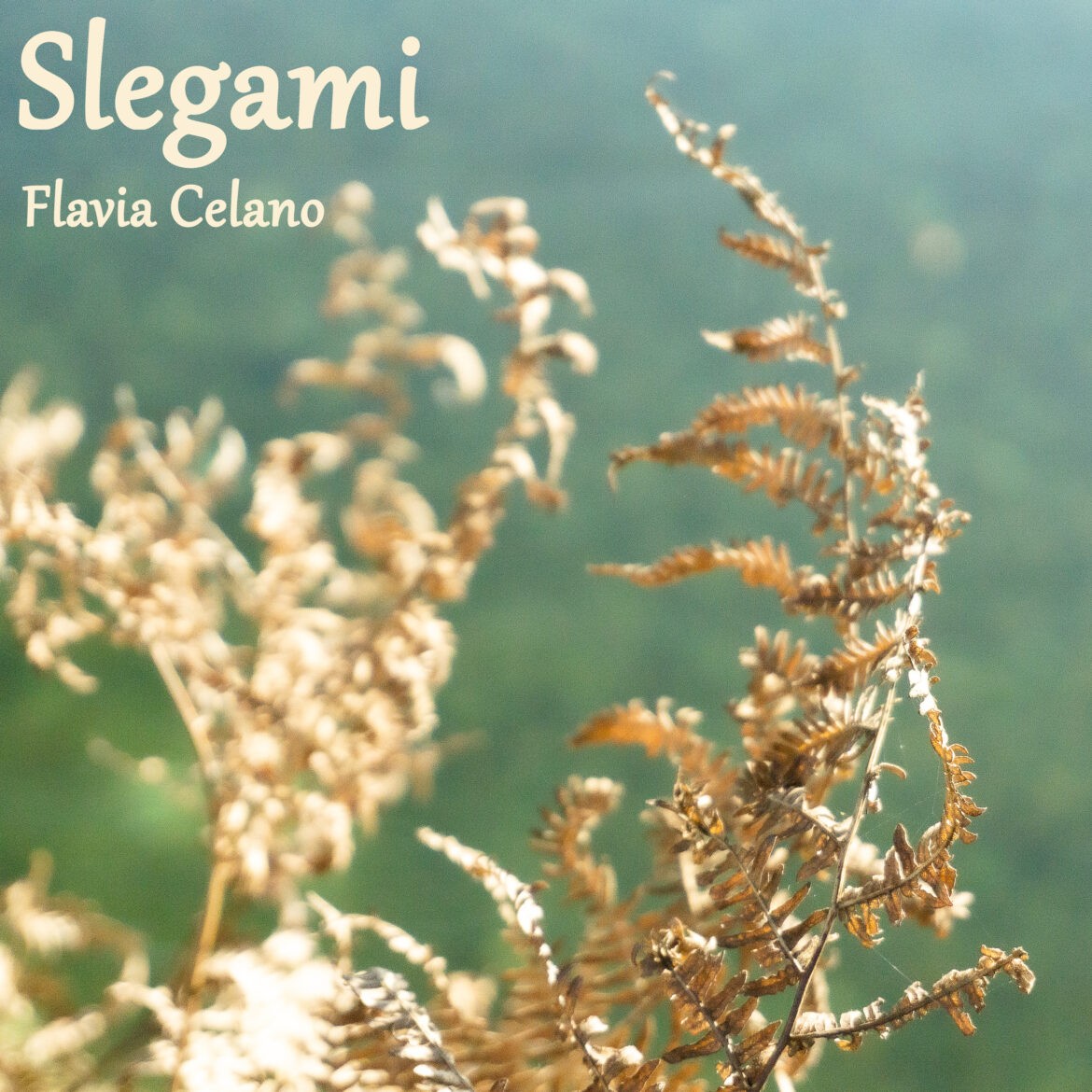 slegami