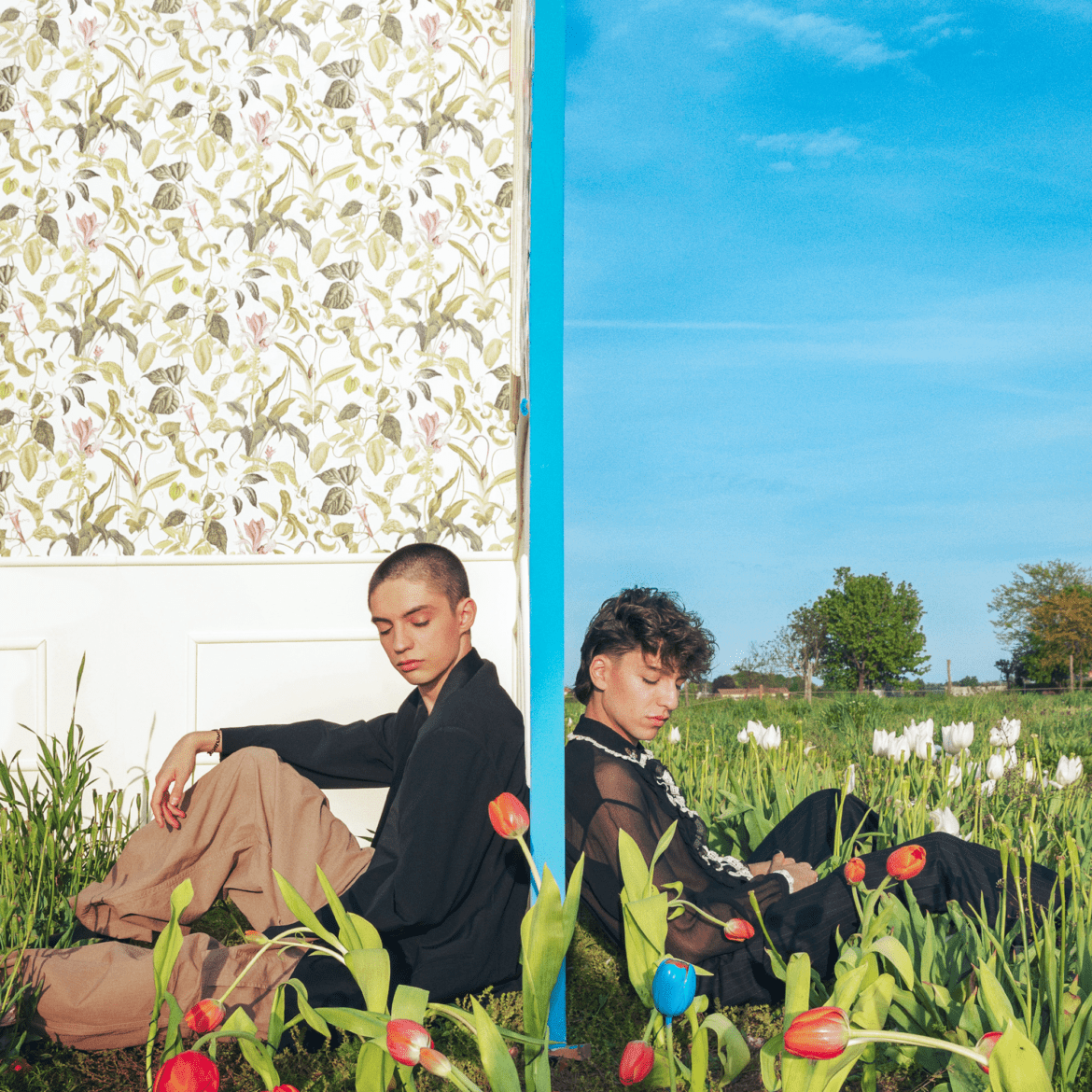 tulipani blu video