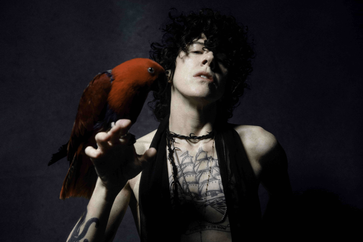 LP in italia
