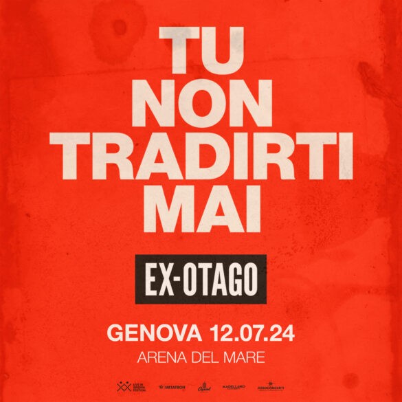 Grafica TNTM