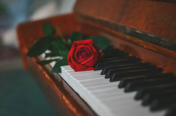 canzoni per funerale mQx62Mz
