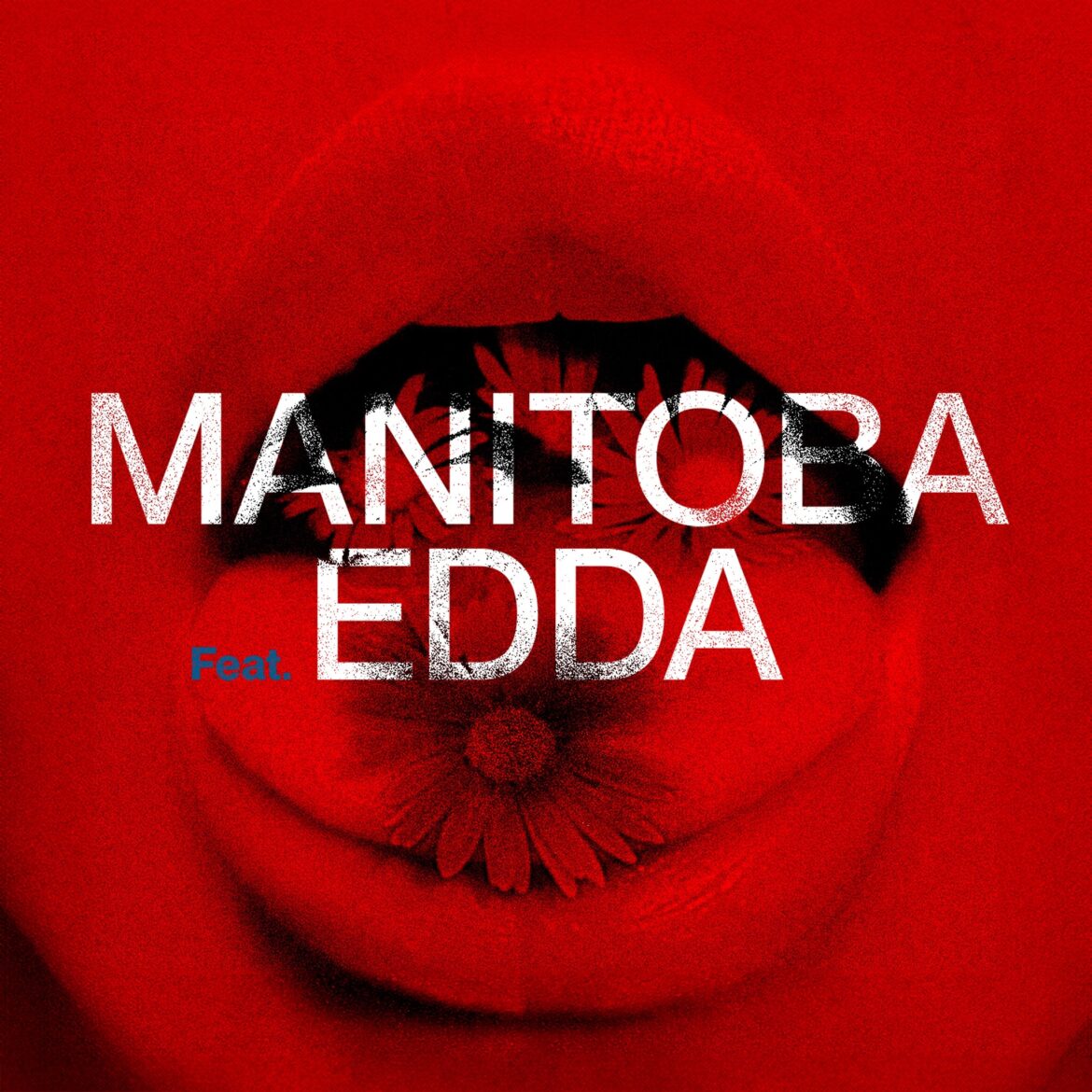 manitoba copertina