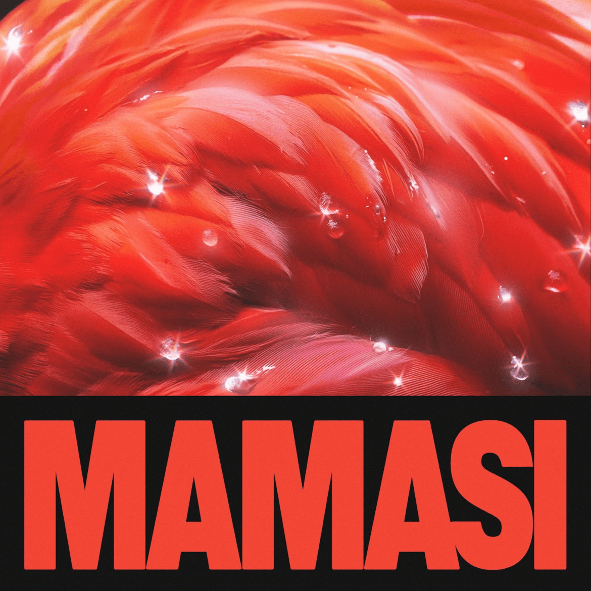 cripo mamasì