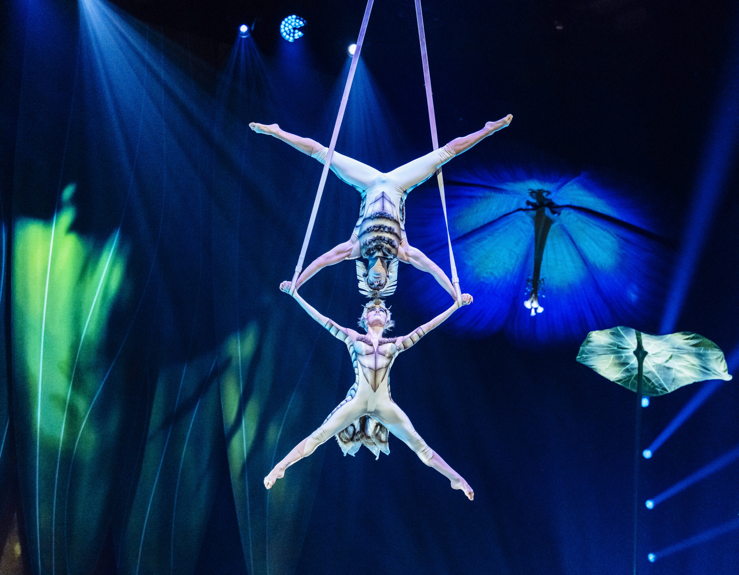 Cirque Du Soleil OVO a Bergamo