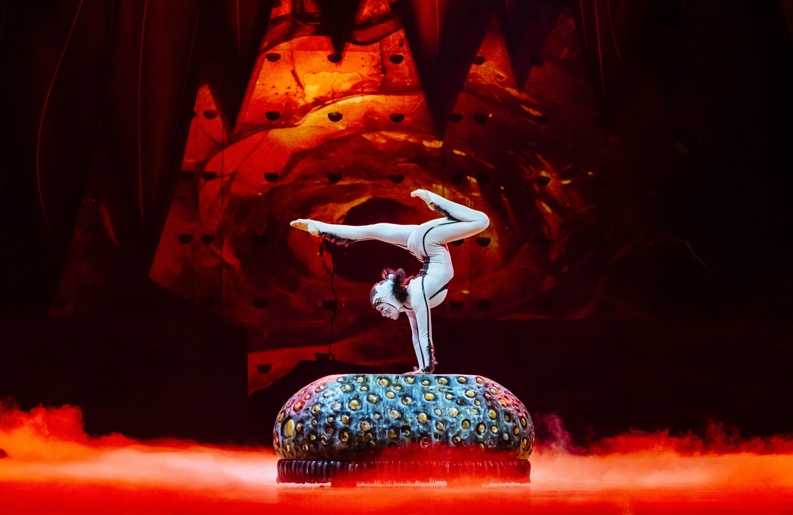 Cirque Du Soleil OVO a Bergamo